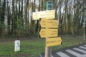 Mont-St-Aignan : rond-point du panorama